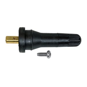 TPMS RUBB STEM-FORD/GM 10PK