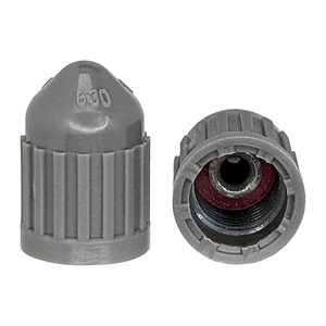 DILLTPMS SPEC. VLV CAP 100/BX