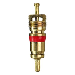 L.B. CORE SHORT BRASS- TRC-2