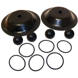 AME-15100 LIQUID END REP. KIT