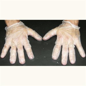 CLEAR VINYL GLOVE NP 100/BX