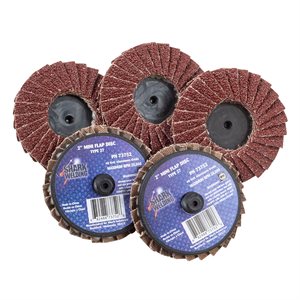 2IN.AL.OX MINI FLP DSC 40G 5PK